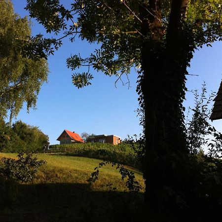 Ferienhaeuser Im Weingarten Fehring Bagian luar foto