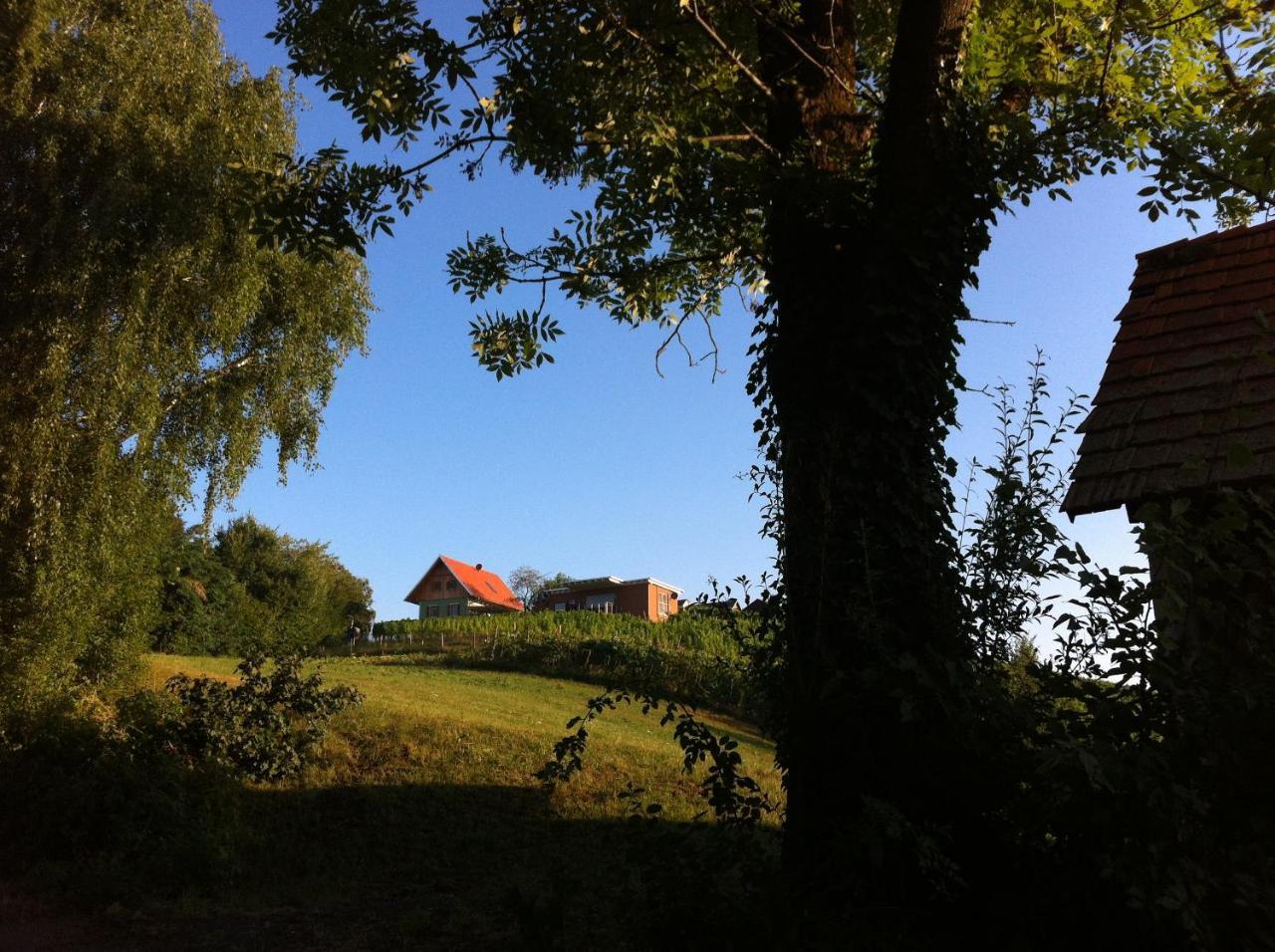 Ferienhaeuser Im Weingarten Fehring Bagian luar foto